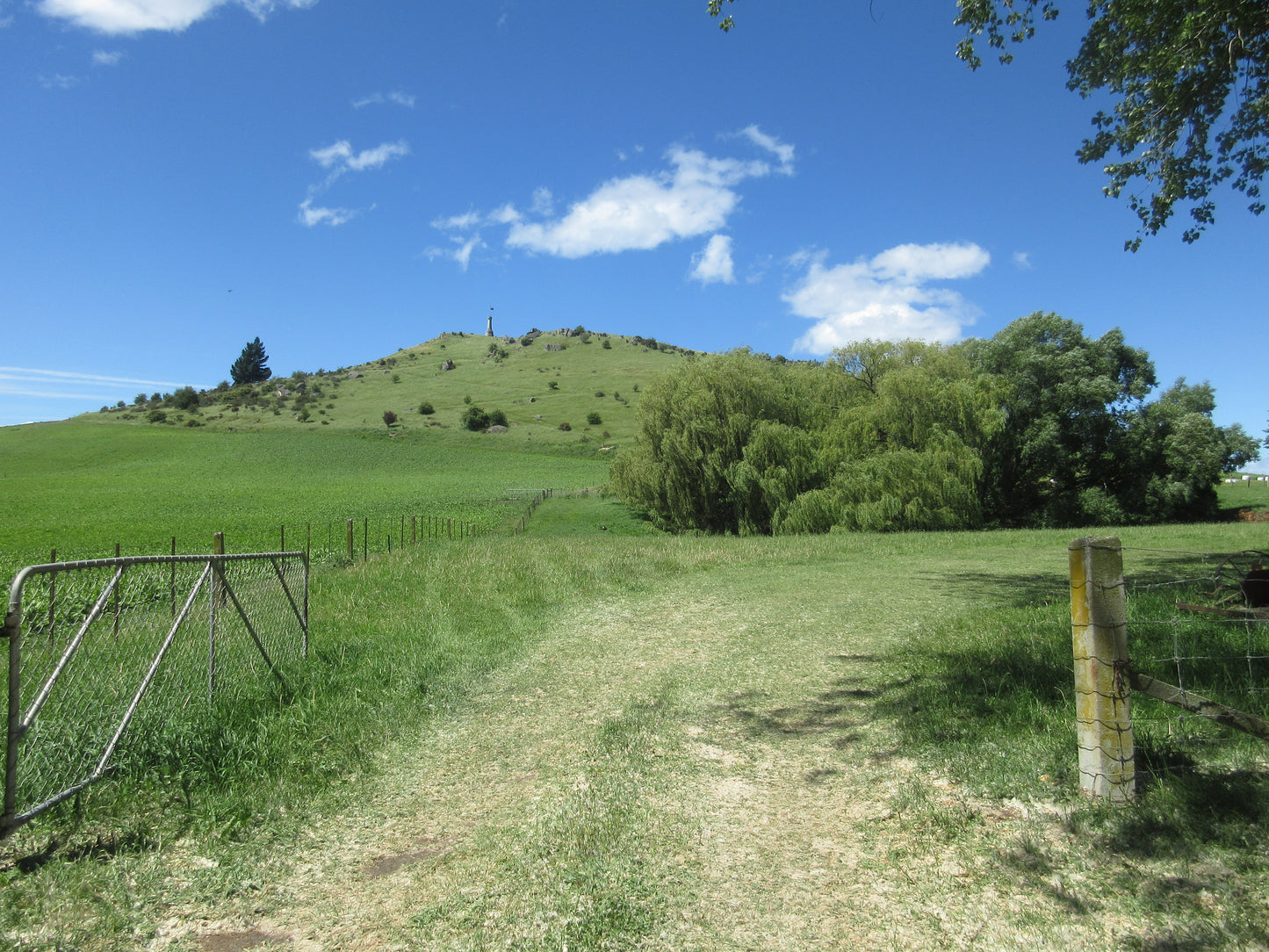 Totara Estate: Explore New Zealand’s Heritage in Oamaru