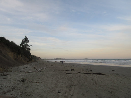 Moeraki Boulders Beach Walk