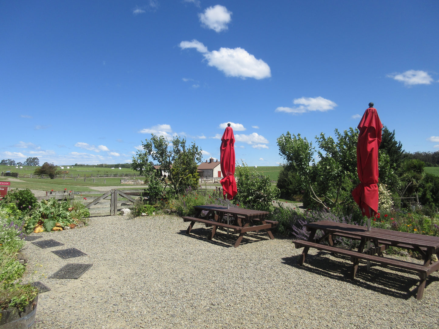 Totara Estate: Explore New Zealand’s Heritage in Oamaru