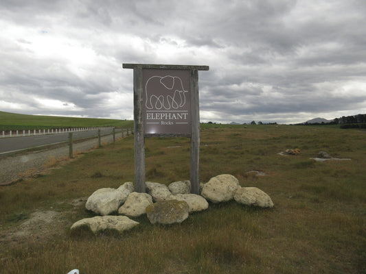 神圣的球体和海岸奇观：摩拉基大圆石自助探险之旅
